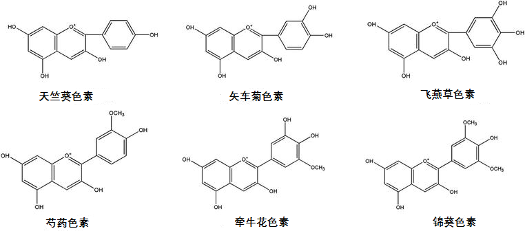 花青素及其化学结构