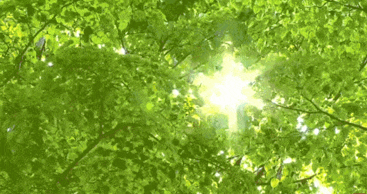 adc57d9085bd4cd7baf01b96572d4306.gif