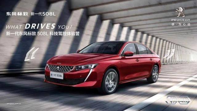 销售|“全员销售”是惰政、怠政，是死路一条，好的公司从不出此下策