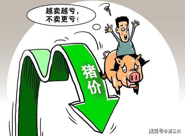 猪价"崩盘",下跌"无休止",肉价降价将至?3个好消息