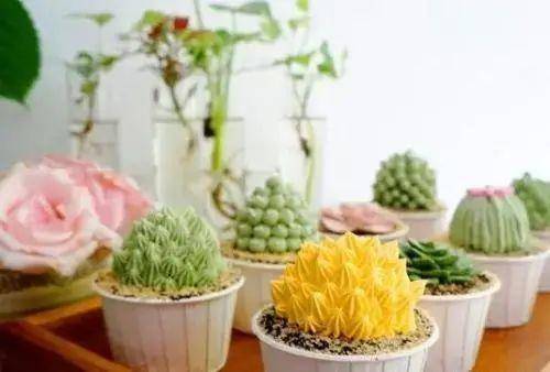 多肉种植方法教程大全 5a9e6e58e73148f6a856022f8c9b82a1.jpeg