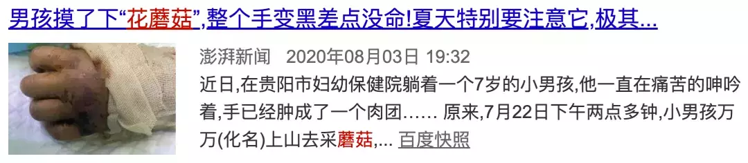 伤口|整个手变黑险丧命!带娃外出,千万当心这东西…男童摸了“花蘑菇”