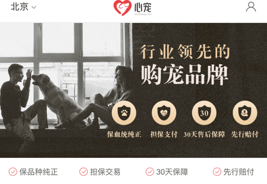 消息资讯|58同城旗下58心宠发布全新战略 未来将面向上游养殖端