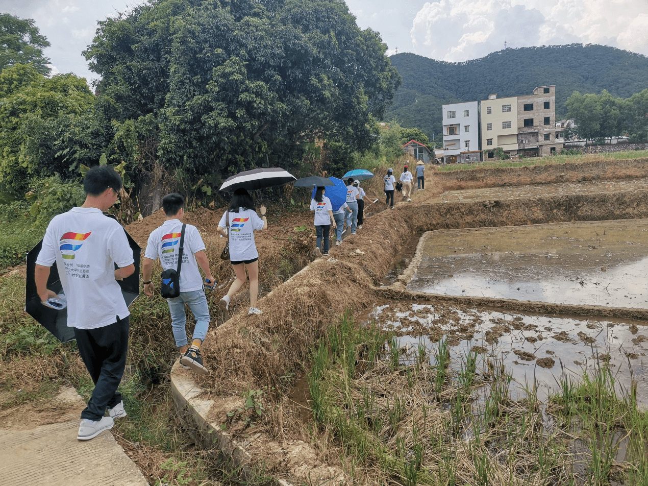 图为实践队在村干部的带领下,实地考察新光村的发展情况.