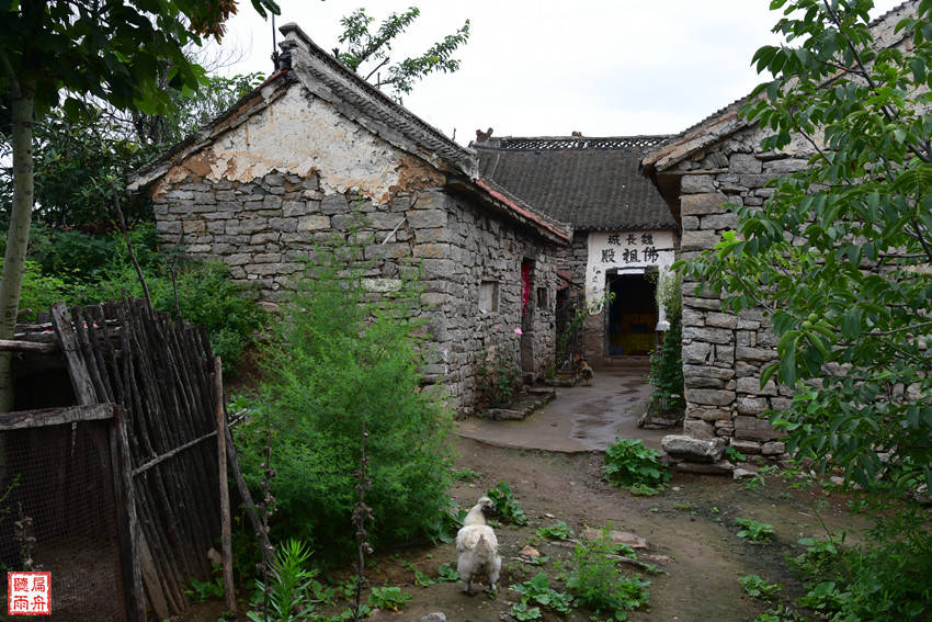营盘|在新密的山梁上 邂逅2500年前的魏长城