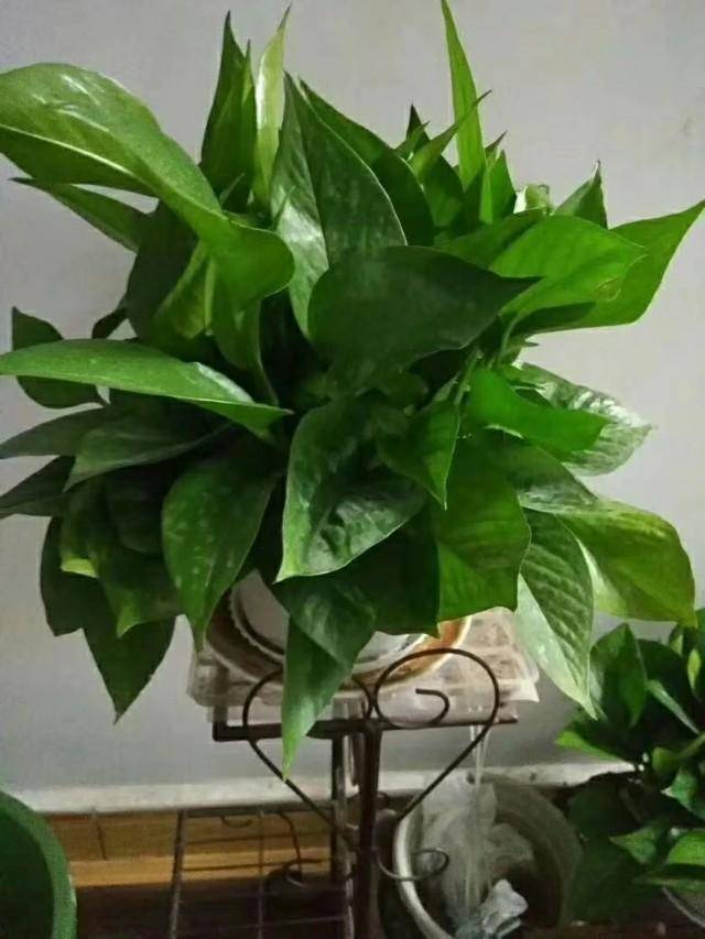 f02684e50ae844e0a6486e6dc5577389.jpeg