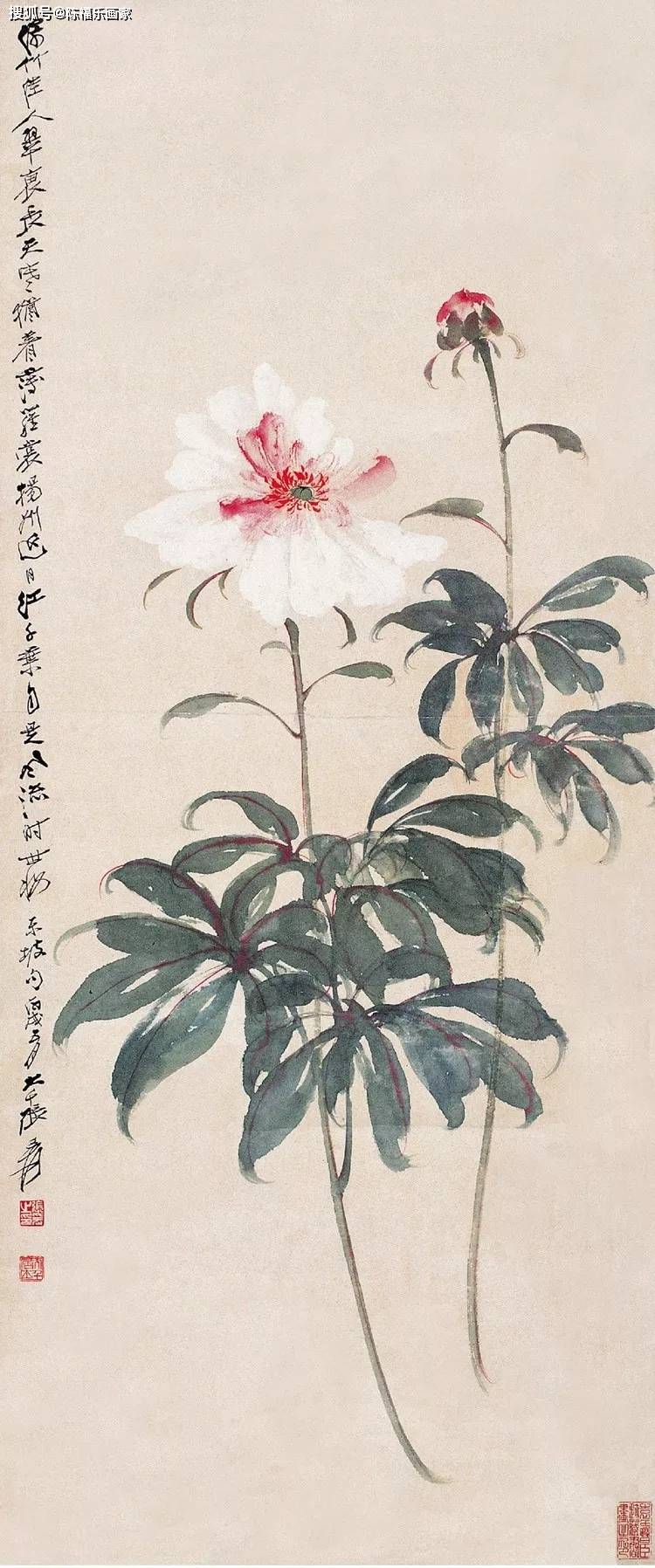 张大千花鸟120幅_搜狐网