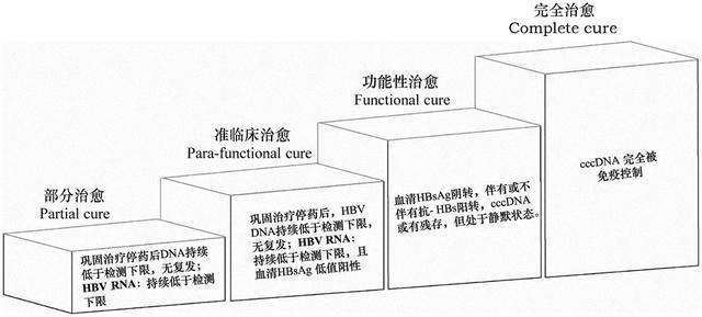 乙肝新药研发，血清HBVRNA动态变化，可能反映肝内复制模板标志物
