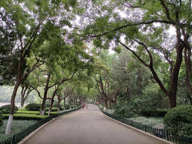 测评盘点|这组手机CP美翻了！荣耀30青春版开箱评测