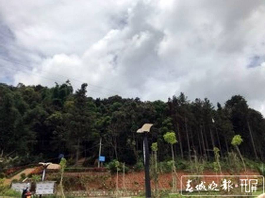 李倩月|三评南京女大学生是好奇害死猫吗？
