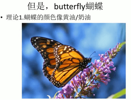 蝴蝶的英语怎么写