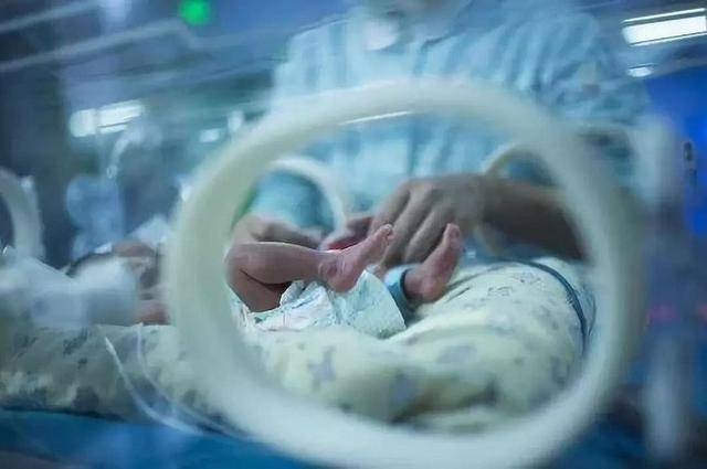 早產嬰兒住的保溫箱為什麼那麼貴呢？