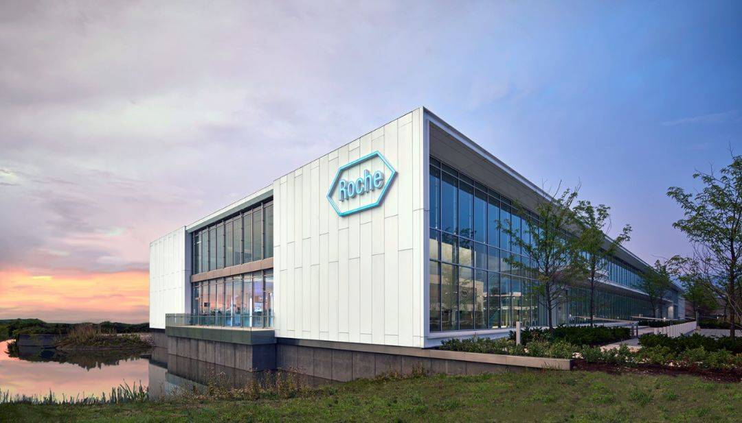 2020辉瑞排名_2020年上半年,跨国药企TOP5排名:辉瑞首位不再、BMS跻身前五