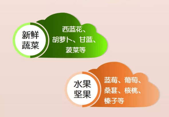 抗氧化原理是什么意思_抗氧化是什么意思