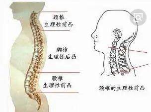 如何正确选择枕头 a320463689544b32a4a935febc8c9d88.jpeg