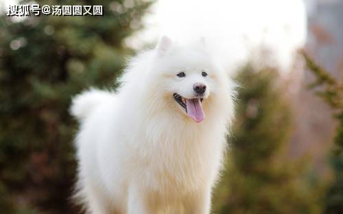 ef4d8a52129848428829ab885ab4f2be.jpeg