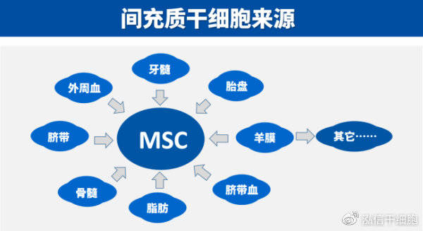 储存间充质干细胞有必要么