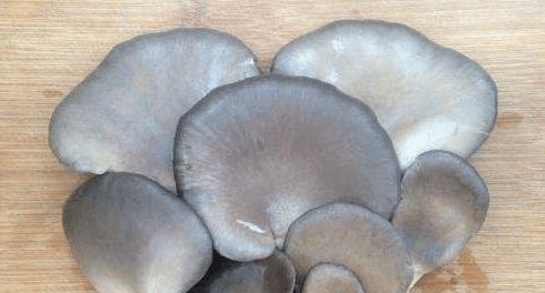 蘑菇怎么做着吃啊 210d0411c701463cab14d1b17afd35b8.png