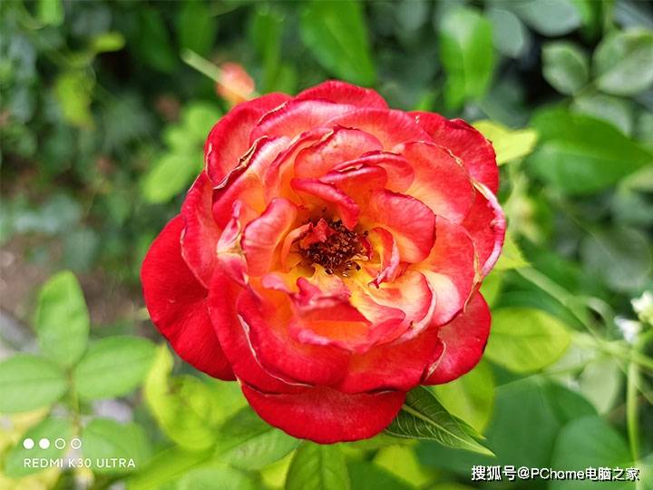 Redmi|Redmi K30 至尊纪念版评测 千元旗舰一鸣惊人