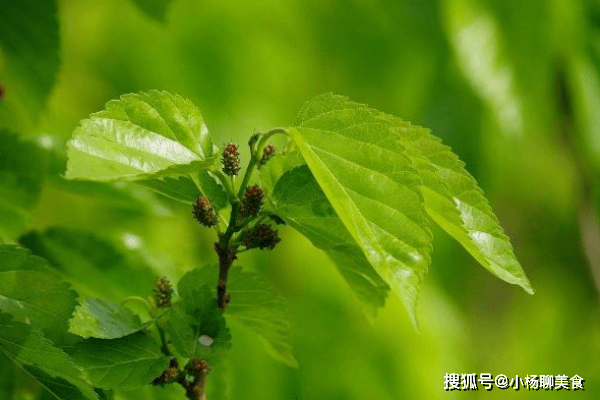 77c63a09d78a46618513706bf6df1c67.png