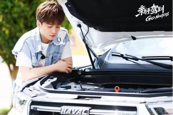 新手|内容和商业同步，《新手驾到》“开”出了哪些「新路径」丨专访刘建立