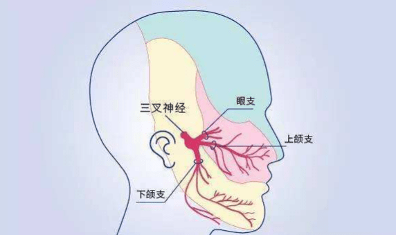 ccb3018a1b8f45c2808e73b061c99519.png