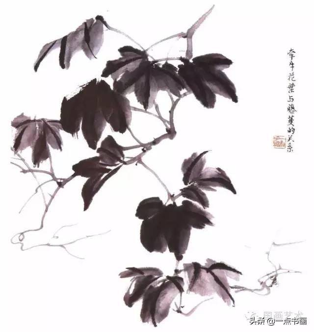 国画教程——牵牛花的写意画法_藤蔓