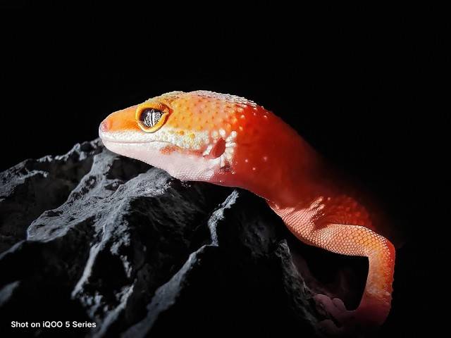 观点评论|120分超满分？一文看懂iQOO 5系列新机爆料