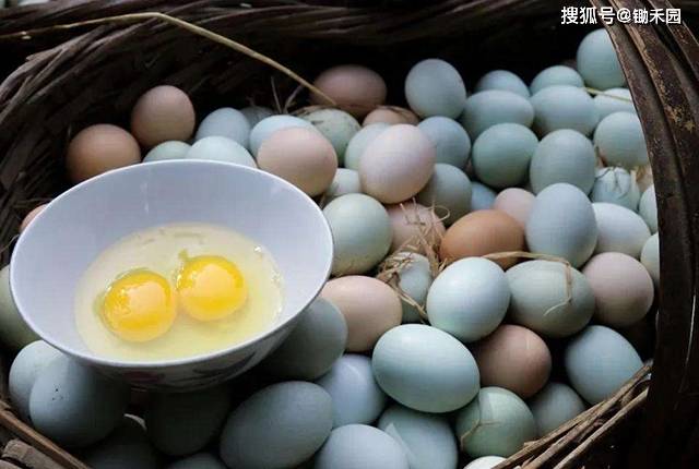 鸡蛋价格历年 5aa619a2f8504c21ada4d256860e8404.jpeg