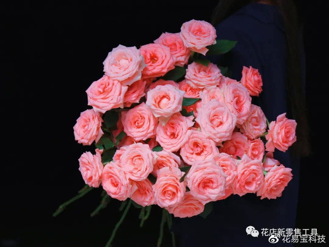 彩玫系列 彩玫系列销量靠前的是粉色系,如戴安娜,粉红雪山,桃红雪山