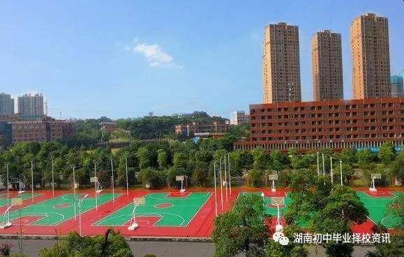 长沙最好学校排行_长沙最难进的十大小学和十大初中,口碑和成绩最好