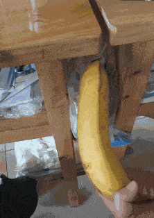 搞笑gif:我突然冒出了好多想法.