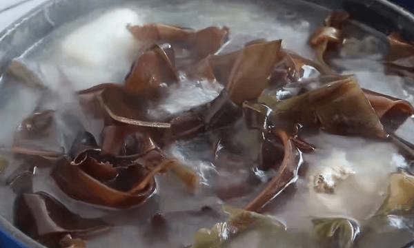 炒肉丝需要用水炖一会吗 e59147dd20884e7f92e9a63b0812a42e.png