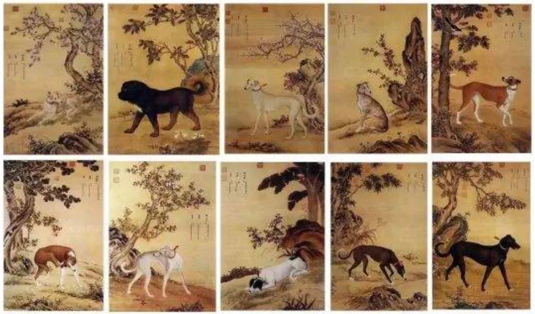 《十骏犬图》·郎世宁绘