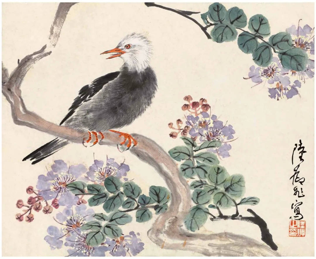 陆抑非先生课徒稿:奠定中国美术学院花鸟教学体系的核心基石