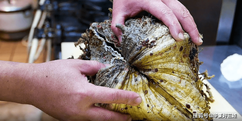 原创600块的巨型蛤蜊还有它未消化的小龙虾做成生的刺身敢吃吗