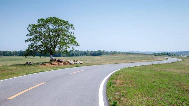 疫情后2020人均gdp_疫情期间gdp变化图(2)