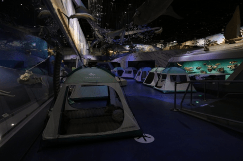 视频|博物馆奇妙夜，真的很帅！