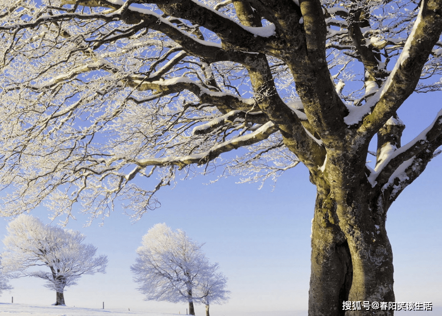 be4a6579f1074880b8a2afd4ce8d6a33.png