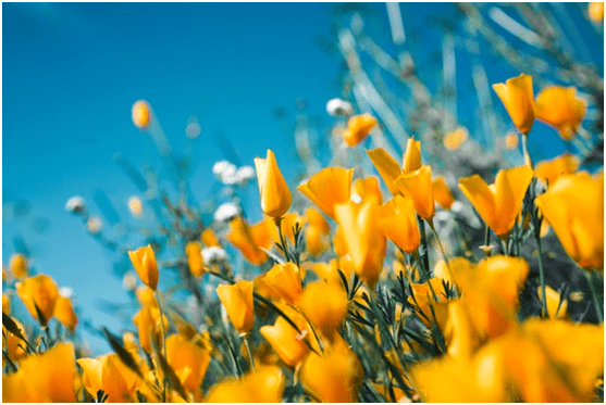 经验教程|【十米留学】未来几年，去哪些国家留学前景更好，性价比更高？