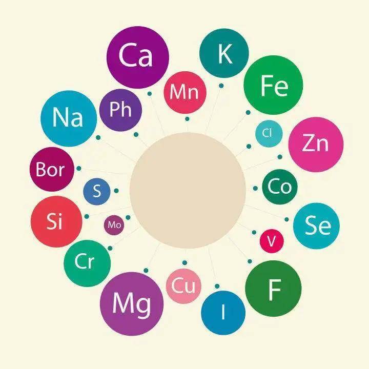 【微量元素检查】什么是微量元素检查_微量元素检查的作用