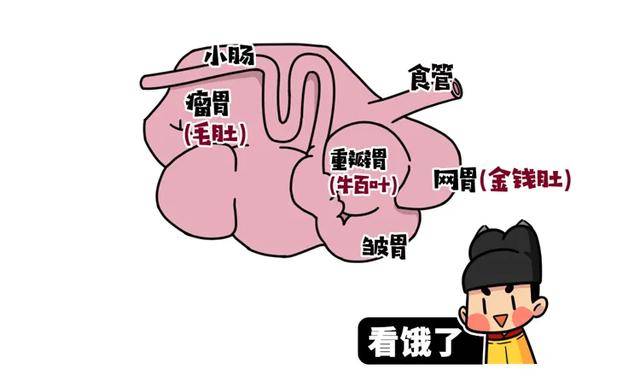 随便吃点就饱了怎么回事 abba7cdfd67840d7ac777e831ae4c543.jpeg