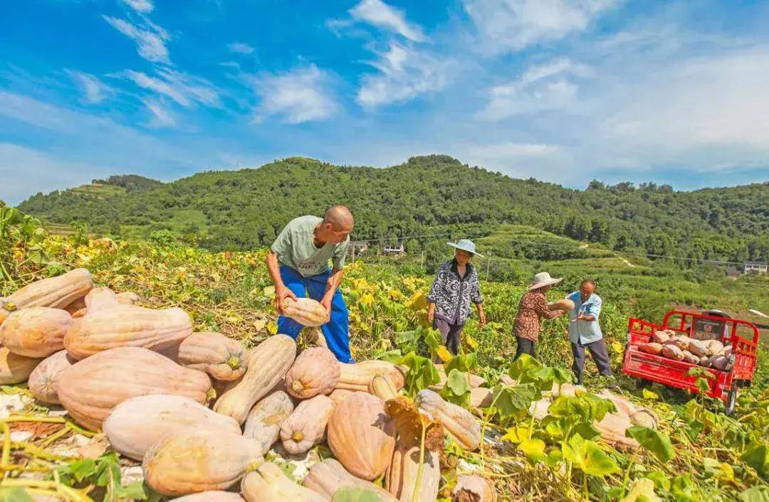 垫江县2020年上半年g_垫江县2001年图片