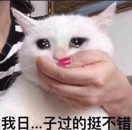 皮肤|从万人迷到万人嘲，最飒姐姐爆红遭反噬，这次卖惨连观众都不买账了？