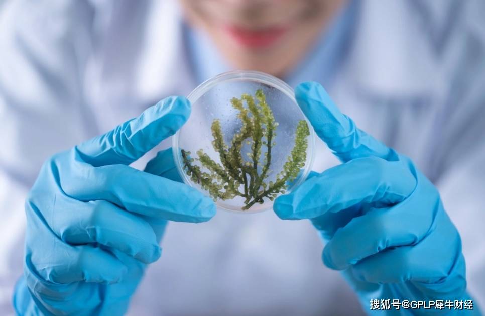 发行价|新亚强发行价定为31.85元/股 化工品单一且多次遭环保部门处罚