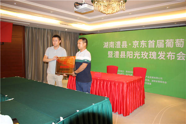 产业|澧县京东生鲜首届葡萄节发布会隆重举行