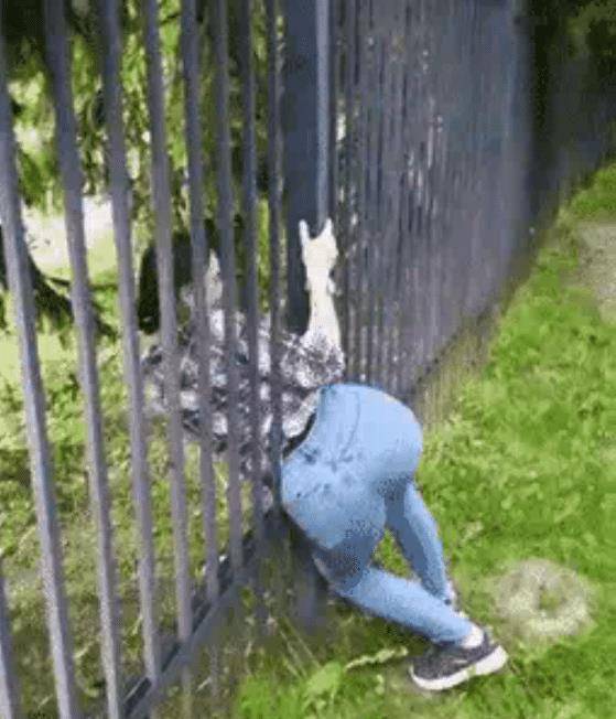 五根手指和了猜成语_看图猜成语