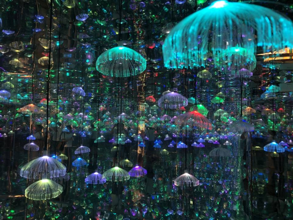 梵高|广州梵高星空艺术馆， 一场魔幻视觉盛宴中，感知传世佳作的魅力