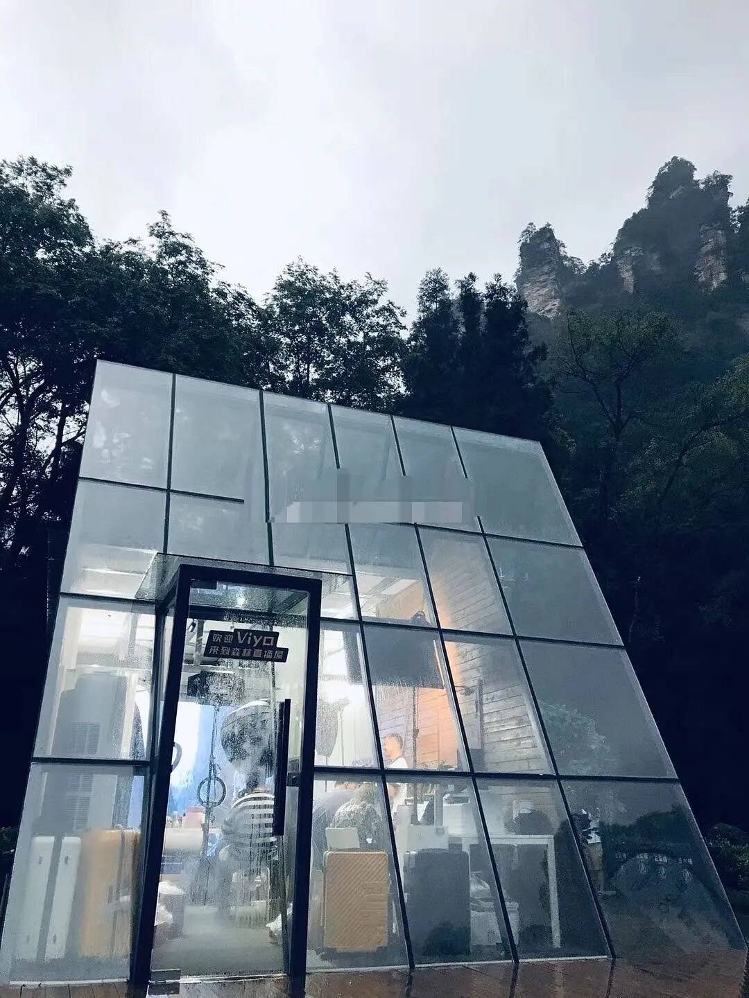 网曝薇娅直播被“叫停”因耍大牌，主办方回应