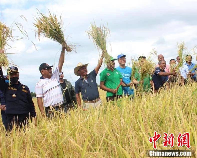 人们需要支持的时候我们往前冲，这是人道主义精神